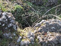 otte Scorciavacca20110306 133